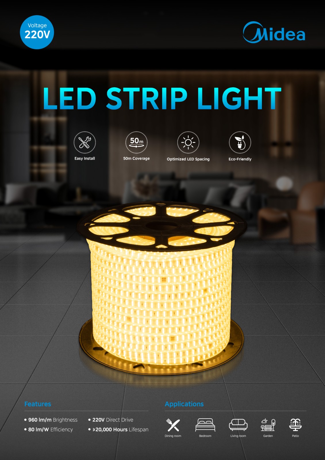 220V LED Strip Poster.jpg
